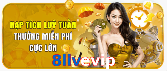 8livevip